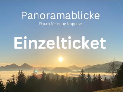 Einzelticket 24.05.2025
